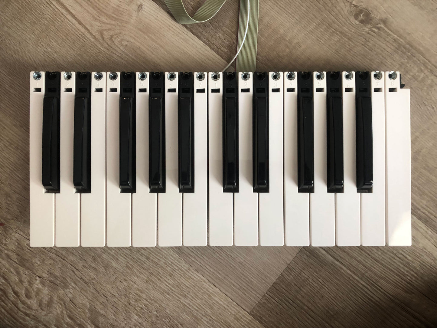 Arturia Minibrute OEM Keybed Assembly w/ Aftertouch (Keyboard)