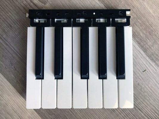Korg Minilogue / Minilogue XD Keys Group (12 Key)