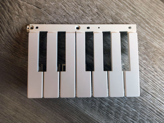 MicroKorg / MicroKorg-S OEM White Keys Group