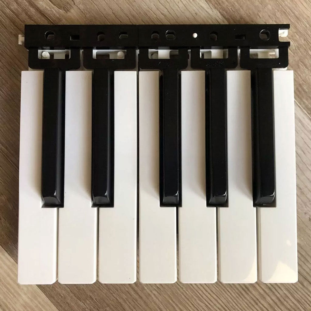 Korg Minilogue Keyset