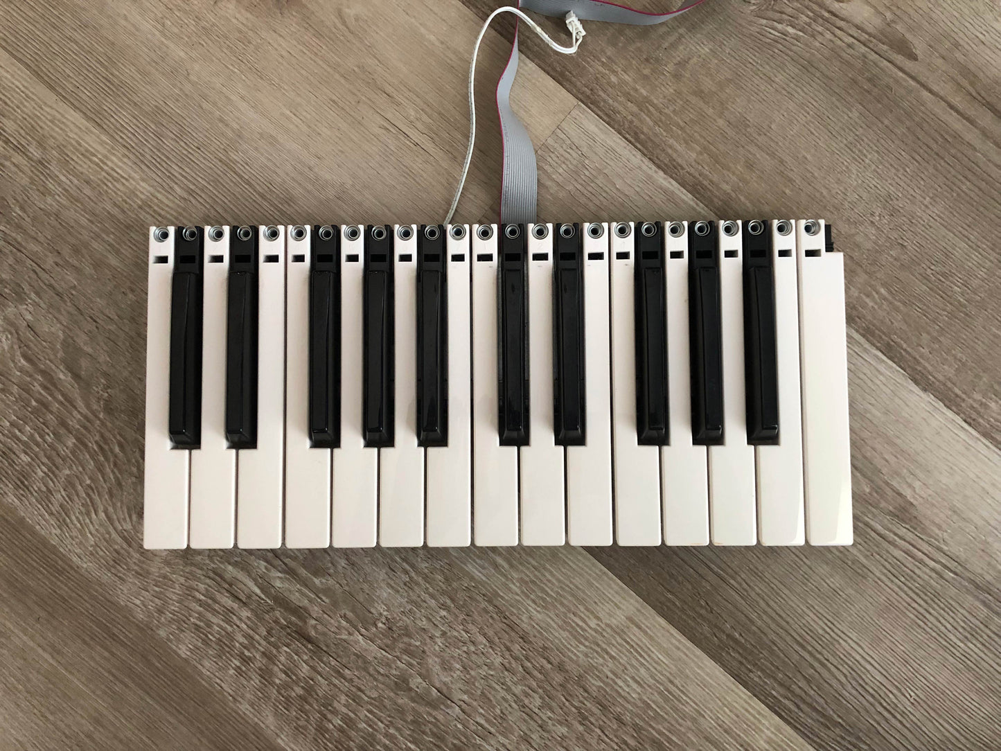 Arturia MiniBrute MKI OEM Keybed Assembly w/ Keys, Contact Board + Aftertouch