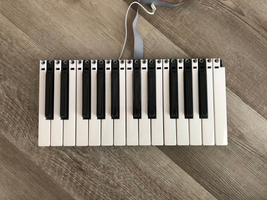Arturia MiniBrute MKI OEM Keybed Assembly w/ Keys, Contact Board + Aftertouch