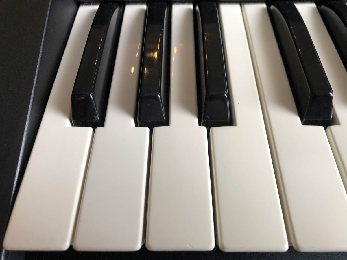 Korg MS2000B Gorgeous w/ Original Mic + PSU