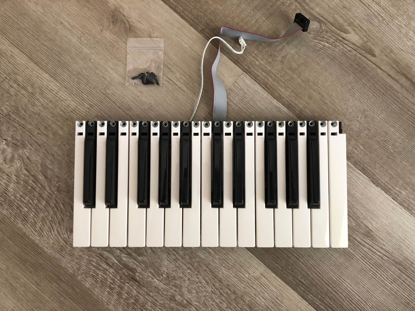 Arturia MiniBrute MKI OEM Keybed Assembly w/ Keys, Contact Board + Aftertouch