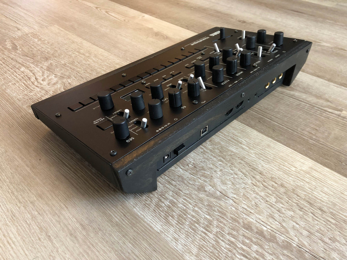 Korg Monologue Desktop Module Conversion Rescue w/ Aftermarket PSU