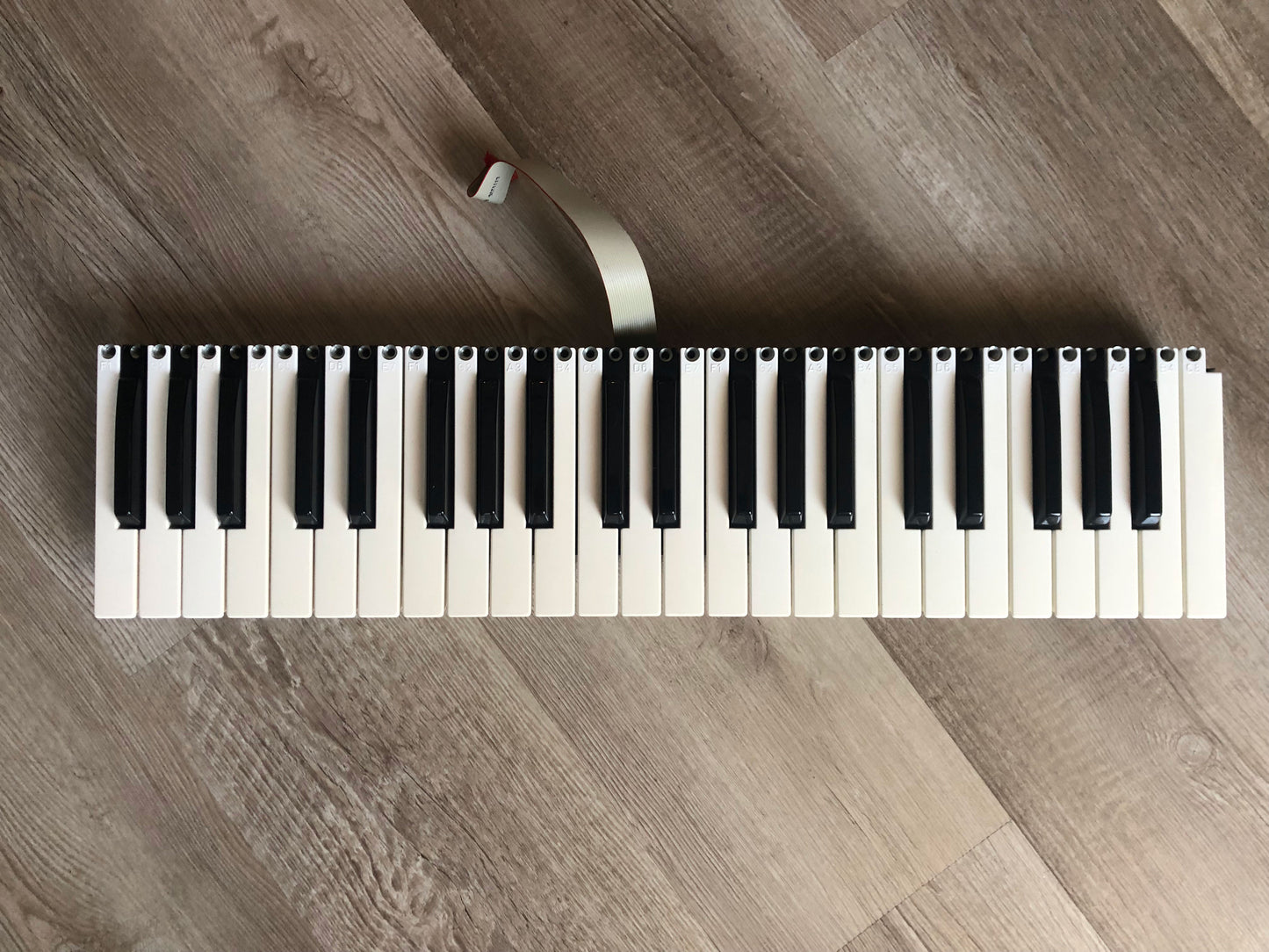 Korg MS2000 Replacement Keybed w/ Keys, Pads, Board & Cable, 100% Tested & Working